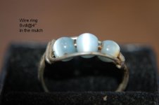 A Salty Three ring day 004.jpg