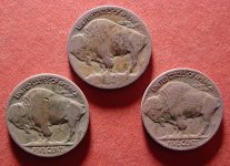 Buffalo-Rev_zpsf29ba7c6.jpg