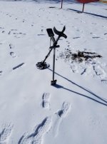 snownox.jpg