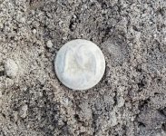 cs button dug.jpg