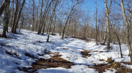 march snow hunt.jpg march snow hunt.jpg
