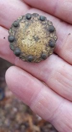 march dandy button just dug .jpg