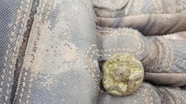 march rose button .jpg