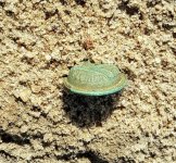 Florida button 1a.jpg