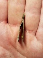 20180406_211414.jpg