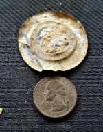 Rosette 2.jpg