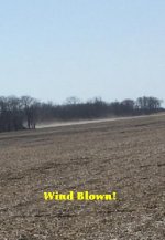 Windy.jpg