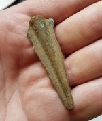 20180429_131936.jpg