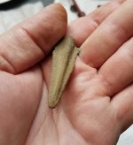 20180429_131947.jpg