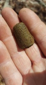 may 5th thimble.jpg