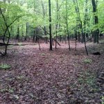 20180520_101103_HDR.jpg