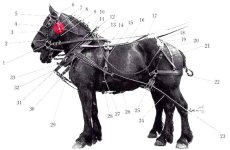 gag diagram w_ swivel Harness File Ref  201-41.jpg