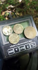 june copper spill and eagle button.jpg