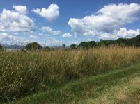 field shot.jpg field shot.jpg