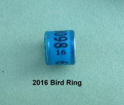 IMG_2420.jpg