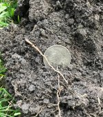 Shield dirt.jpg Shield dirt.jpg