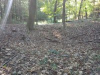 20180930_101239.jpg 20180930_101239.jpg
