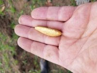 20181026_100409.jpg
