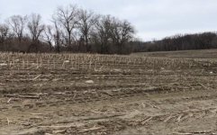 Field shot.jpg Field shot.jpg