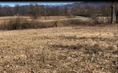 fieldshot.jpg fieldshot.jpg