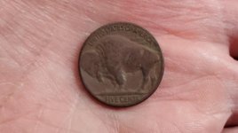 1920 BUFFALO B.jpg 1920 BUFFALO B.jpg