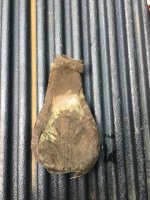 powder flask.jpg
