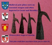 1400s Pike C.jpg