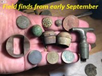 Field finds early Sep.jpg