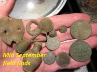 Field finds mid Sep.jpg Field finds mid Sep.jpg
