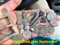 Field finds late Sep.jpg Field finds late Sep.jpg