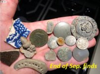 Field finds end of Sep.jpg