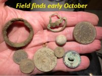Field finds early Oct.jpg Field finds early Oct.jpg