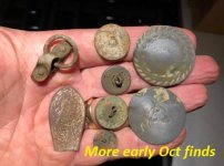 Field finds more early Oct.jpg