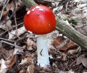 20191016_143258.jpg