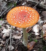 20191016_143707.jpg