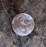 dirt.jpg