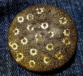 Jan dandy button .jpg