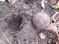 cannon ball 1.jpg