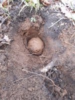 cannon ball 2.jpg