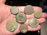 Large coppers.jpg