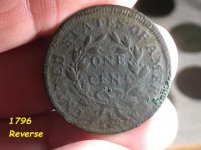 Draped _Bust_1796_reverse.jpg