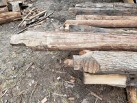timber 3.jpg