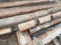 timber.jpg