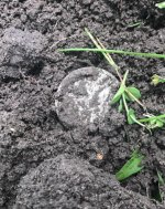 dirt.jpg dirt.jpg