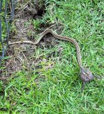 20201006_144653.jpg