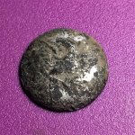 IMG_6799 (2).jpg