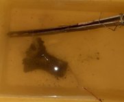 20201024_221757.jpg