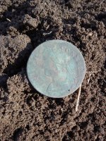 20201105_133726.jpg