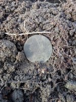 20201128_102248.jpg