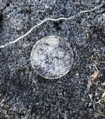 one dime.jpg